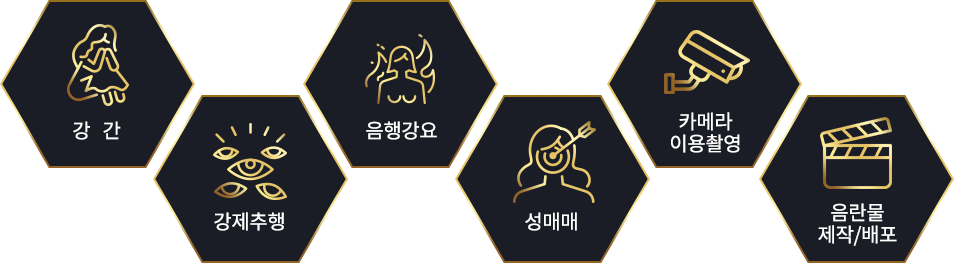 강간,강제추행,음행강요,성매매,카메라이용촬영,음란물제작/배포